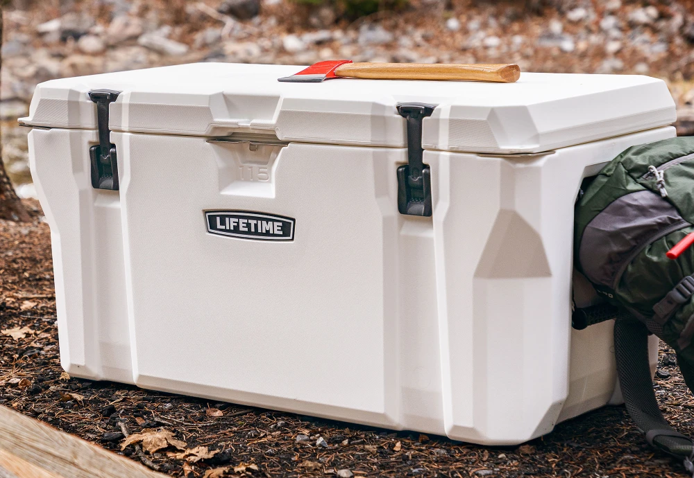 best ice cooler box